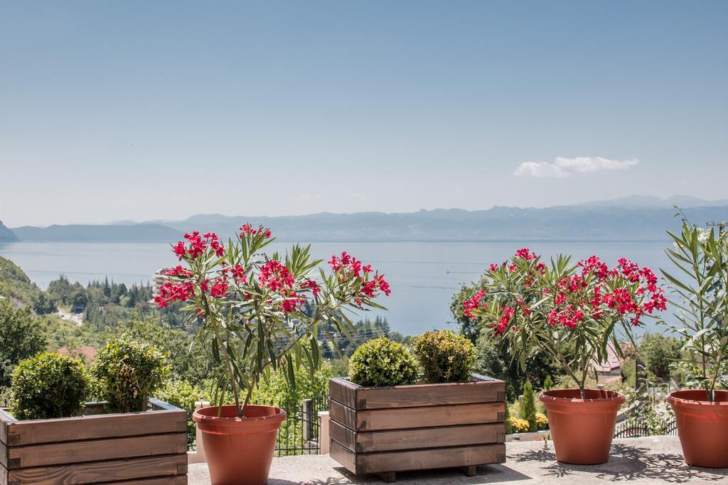 Villa Stefanoski Konjsko 외부 사진